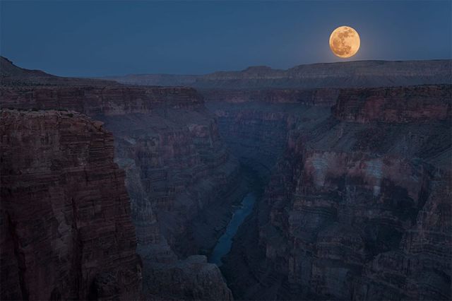 1016665_10152922409020533_1782407636_n