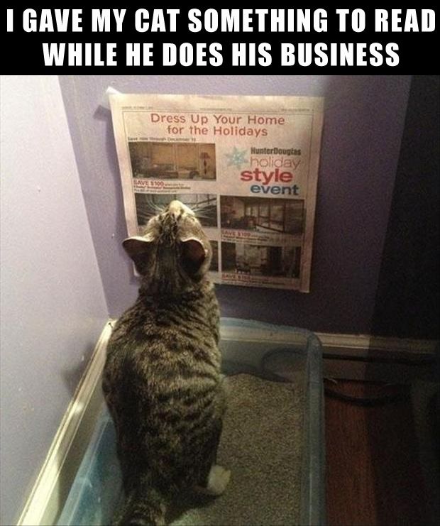 I Gave My Cat Something To Read While ...
