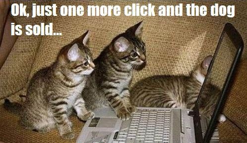 One More Click And The Dog Is Sold
