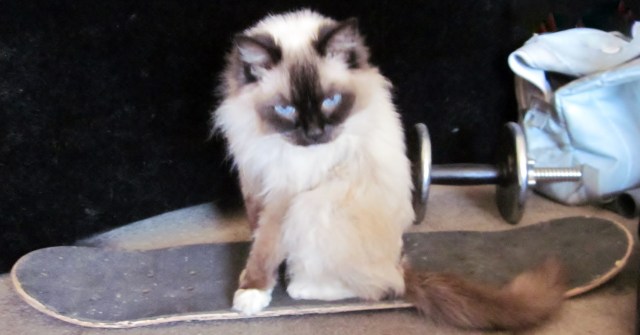 Get Ready.. Get Set..