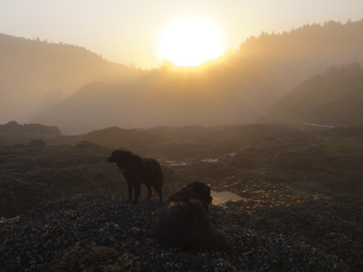Good morning, Cape Perpetua!