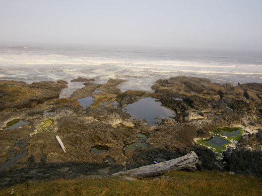 Overlooking the tide pools at Cape Perpetua