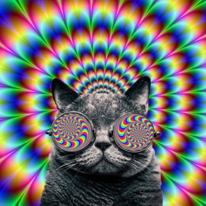 artworks-000092036157-60jb5a-t500x500