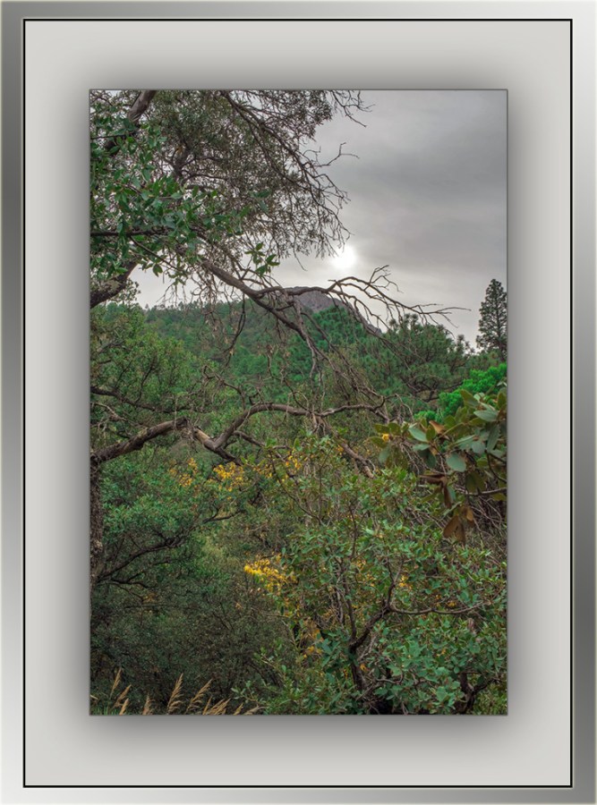 Sunrise (1 of 1)-2 blog