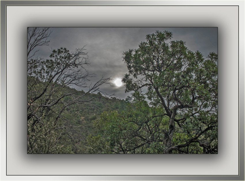 Sunrise (1 of 1) blog