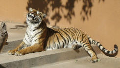 Featured Image -- 6498