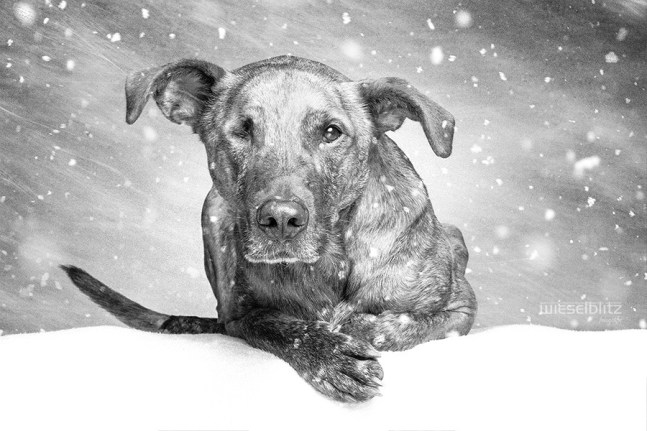 b4d39e0cd21ab434707b307c3f20887e