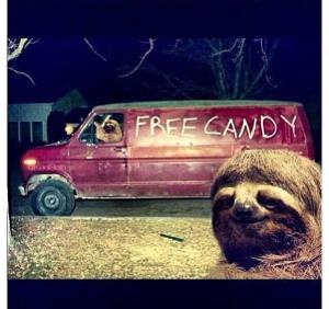 22709_894342990588779_6735781470133659143_n