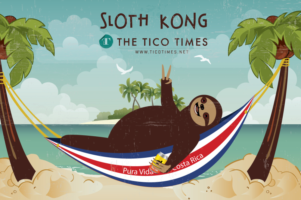 Sloth 101 Volunteer with Sloths – NBC 101 celebrating 10 years of community service
